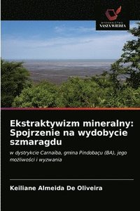 bokomslag Ekstraktywizm mineralny