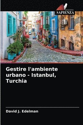 Gestire l'ambiente urbano - Istanbul, Turchia 1