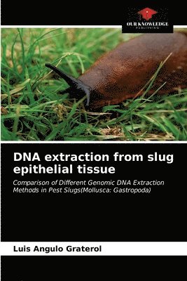 DNA extraction from slug epithelial tissue 1