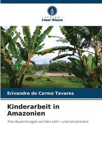 bokomslag Kinderarbeit in Amazonien