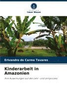 Kinderarbeit in Amazonien 1