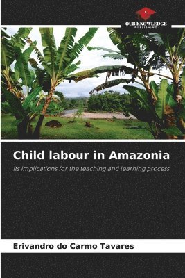 bokomslag Child labour in Amazonia