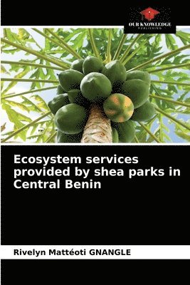 Ecosystem services provided by shea parks in Central Benin 1