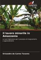 bokomslag Il lavoro minorile in Amazzonia