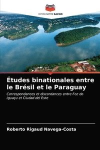 bokomslag tudes binationales entre le Brsil et le Paraguay