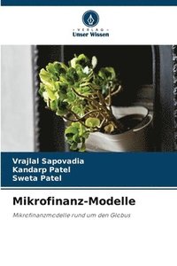 bokomslag Mikrofinanz-Modelle