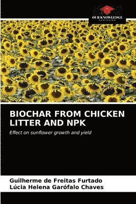 bokomslag Biochar from Chicken Litter and Npk