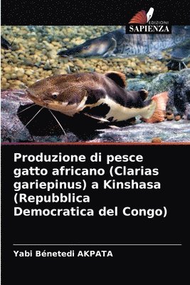 Produzione di pesce gatto africano (Clarias gariepinus) a Kinshasa (Repubblica Democratica del Congo) 1
