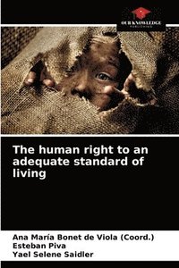 bokomslag The human right to an adequate standard of living