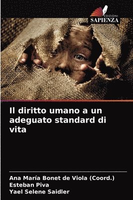 bokomslag Il diritto umano a un adeguato standard di vita