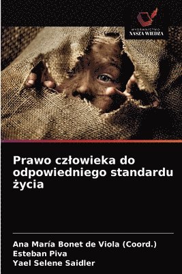 bokomslag Prawo czlowieka do odpowiedniego standardu &#380;ycia