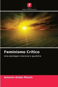bokomslag Feminismo Crtico