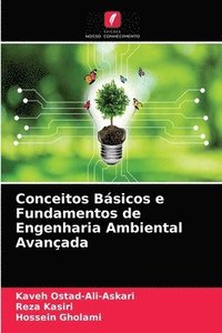 bokomslag Conceitos Basicos e Fundamentos de Engenharia Ambiental Avancada