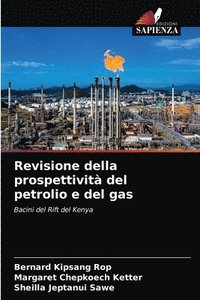 bokomslag Revisione della prospettivit del petrolio e del gas