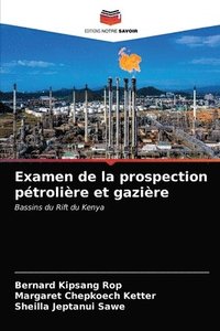 bokomslag Examen de la prospection ptrolire et gazire