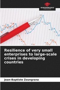 bokomslag Resilience of very small enterprises to large-scale crises in developing countries