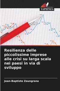 bokomslag Resilienza delle piccolissime imprese alle crisi su larga scala nei paesi in via di sviluppo