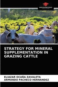 bokomslag Strategy for Mineral Supplementation in Grazing Cattle