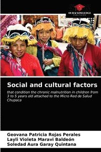 bokomslag Social and cultural factors