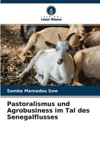 bokomslag Pastoralismus und Agrobusiness im Tal des Senegalflusses