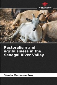 bokomslag Pastoralism and agribusiness in the Senegal River Valley