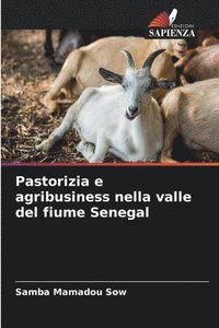 bokomslag Pastorizia e agribusiness nella valle del fiume Senegal