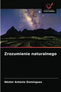 bokomslag Zrozumienie naturalnego