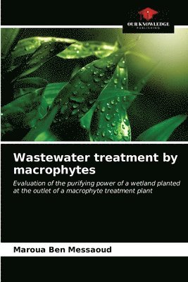 Wastewater treatment by macrophytes 1