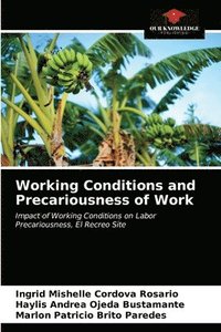 bokomslag Working Conditions and Precariousness of Work