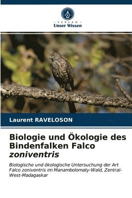 Biologie und kologie des Bindenfalken Falco zoniventris 1