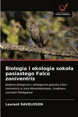 Biologia i ekologia sokola pasiastego Falco zoniventris 1