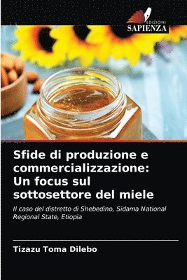 bokomslag Sfide di produzione e commercializzazione