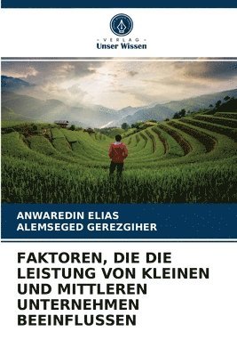 Faktoren, Die Die Leistung Von Kleinen Und Mittleren Unternehmen Beeinflussen 1