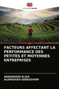 bokomslag Facteurs Affectant La Performance Des Petites Et Moyennes Entreprises