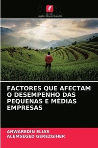 bokomslag Factores Que Afectam O Desempenho Das Pequenas E Medias Empresas