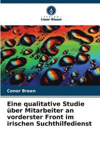 bokomslag Eine qualitative Studie ber Mitarbeiter an vorderster Front im irischen Suchthilfedienst