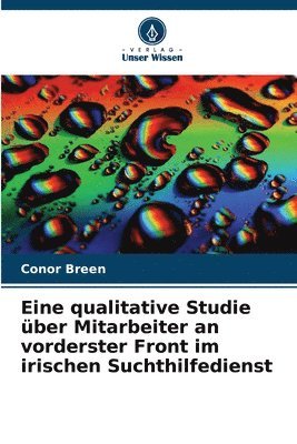 bokomslag Eine qualitative Studie über Mitarbeiter an vorderster Front im irischen Suchthilfedienst