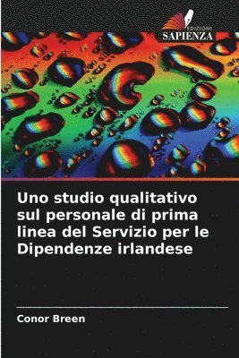 bokomslag Uno studio qualitativo sul personale di prima linea del Servizio per le Dipendenze irlandese