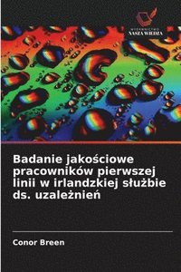 bokomslag Badanie jako&#347;ciowe pracowników pierwszej linii w irlandzkiej slu&#380;bie ds. uzale&#380;nie&#324;