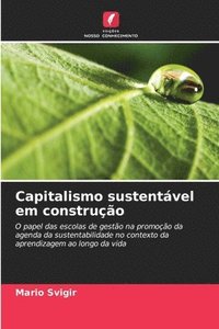 bokomslag Capitalismo sustentvel em construo