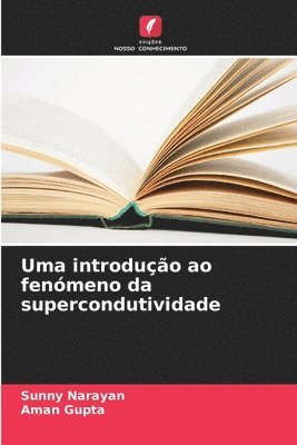 bokomslag Uma introdução ao fenómeno da supercondutividade