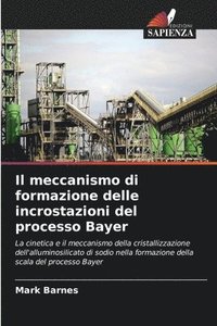 bokomslag meccanismo di formazione delle incrostazioni del processo Bayer