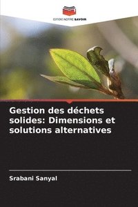 bokomslag Gestion des déchets solides: Dimensions et solutions alternatives