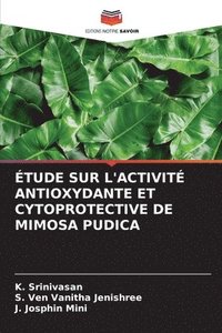bokomslag tude Sur l'Activit Antioxydante Et Cytoprotective de Mimosa Pudica