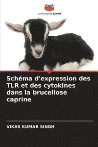 bokomslag Schma d'expression des TLR et des cytokines dans la brucellose caprine