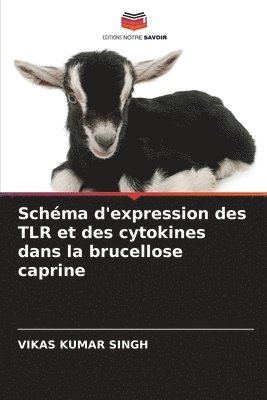 Schma d'expression des TLR et des cytokines dans la brucellose caprine 1