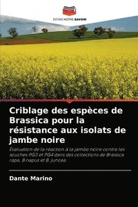 bokomslag Criblage des especes de Brassica pour la resistance aux isolats de jambe noire