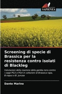 bokomslag Screening di specie di Brassica per la resistenza contro isolati di Blackleg