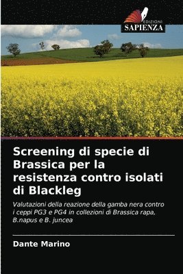 Screening di specie di Brassica per la resistenza contro isolati di Blackleg 1