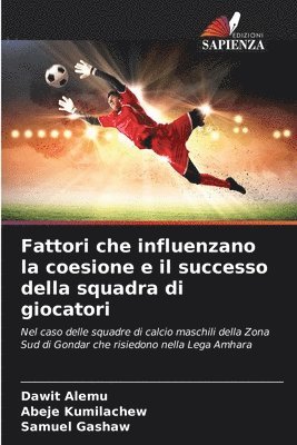 Dawit Alemu, Abeje Kumilachew, Samuel Gashaw - Fattori che influenzano la coesione e il successo della squadra di giocatori, Häftad